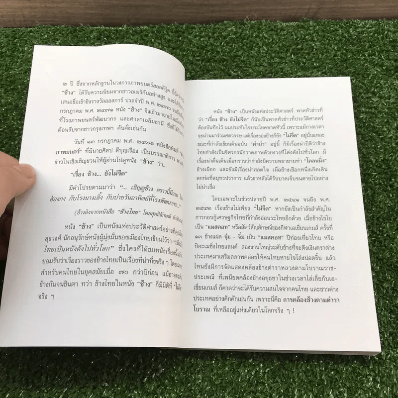เรื่องช้างยังไม่จืด - ธีรภาพ โลหิตกุล รูปที่ 8