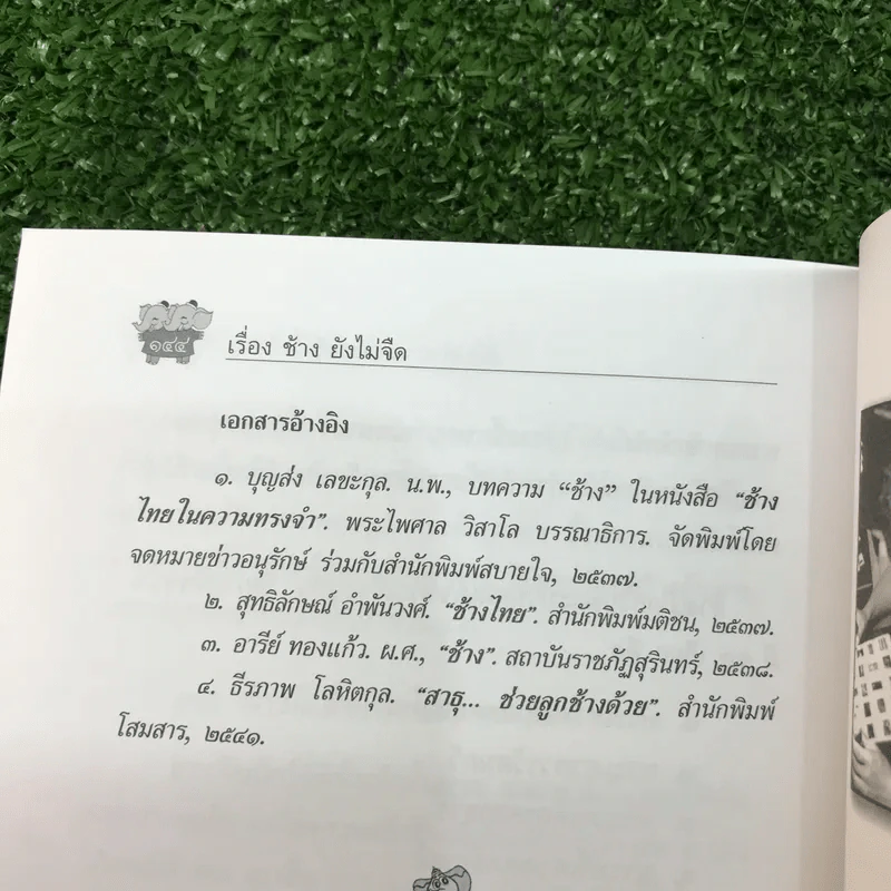 เรื่องช้างยังไม่จืด - ธีรภาพ โลหิตกุล รูปที่ 15