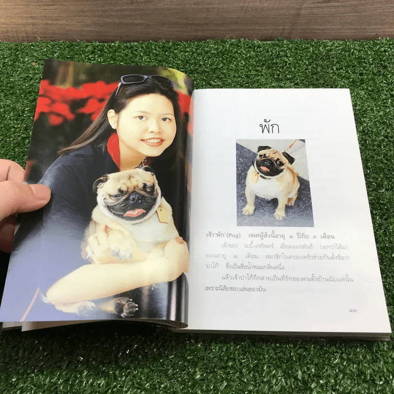 หมา - เชียง (พิมพ์ครั้งแรกในนิตยสารพลอยแกมเพชร) รูปที่ 10