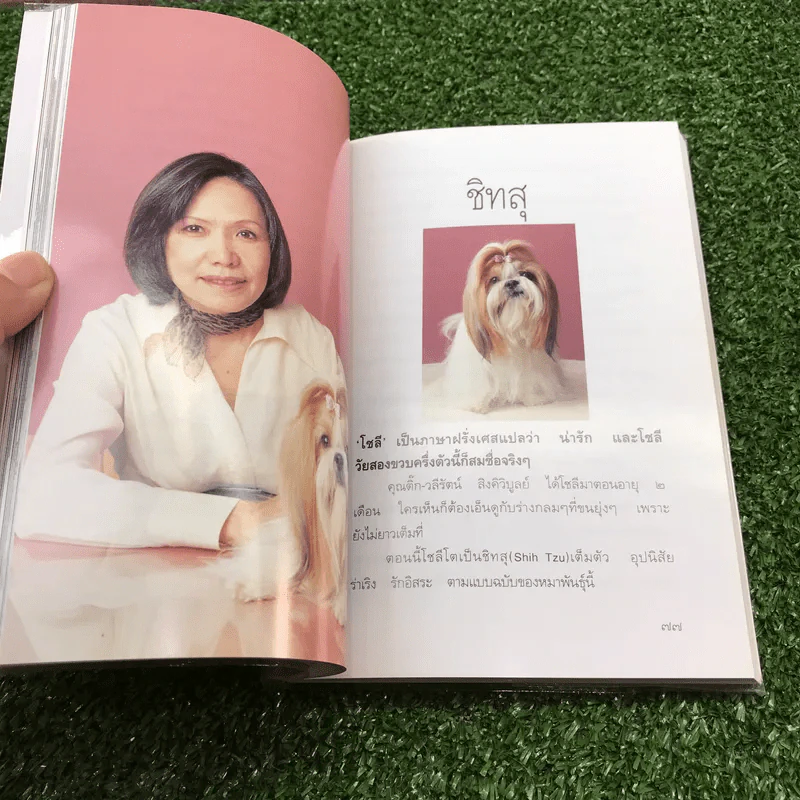 หมา - เชียง (พิมพ์ครั้งแรกในนิตยสารพลอยแกมเพชร) รูปที่ 11