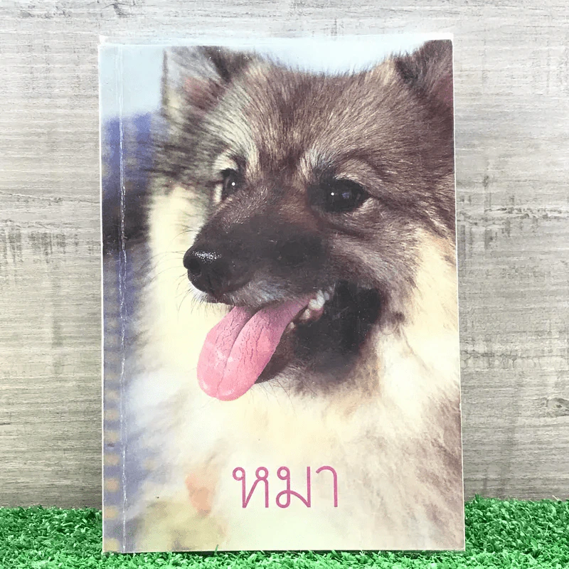 หมา - เชียง (พิมพ์ครั้งแรกในนิตยสารพลอยแกมเพชร) รูปที่ 1