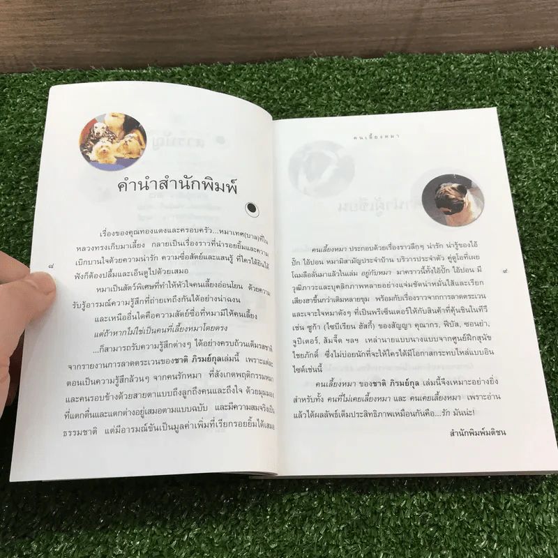 คนเลี้ยงหมา - ชาติ ภิรมย์กุล รูปที่ 8
