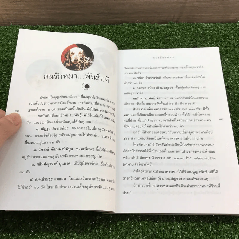 คนเลี้ยงหมา - ชาติ ภิรมย์กุล รูปที่ 10