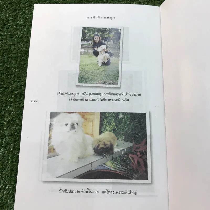 คนเลี้ยงหมา - ชาติ ภิรมย์กุล รูปที่ 11