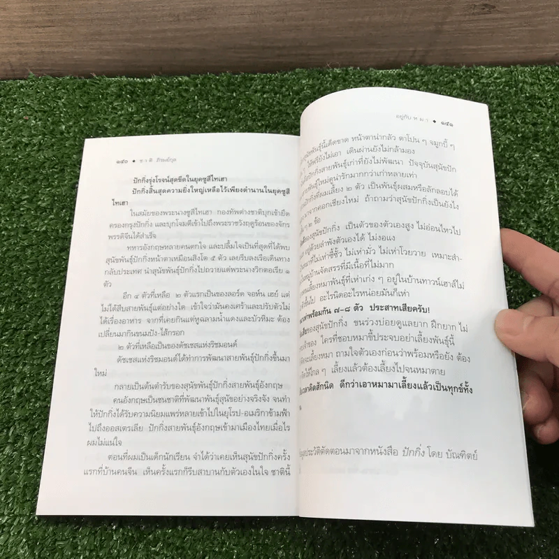 อยู่กับหมา - ชาติ ภิรมย์กุล รูปที่ 9