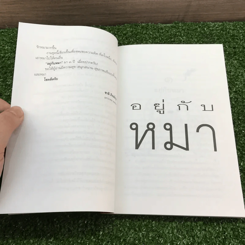อยู่กับหมา - ชาติ ภิรมย์กุล รูปที่ 8