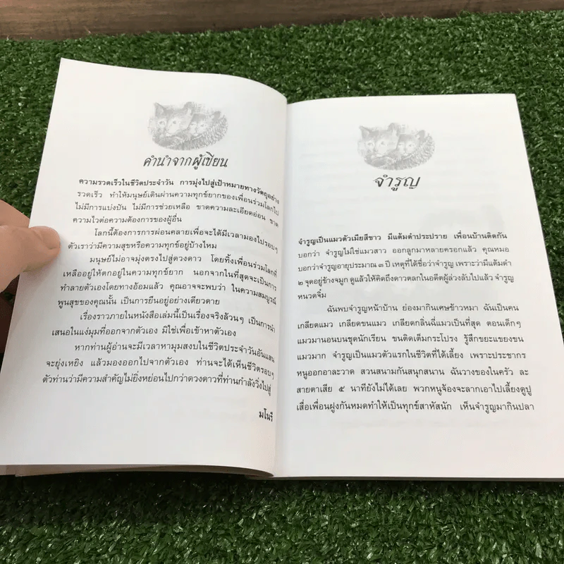 เรื่องสั้นสัตว์เลี้ยงแสนรัก คุณป้าพยอม - มโนรี รูปที่ 11