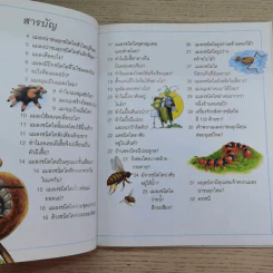 เด็กๆรู้ไหมทำไม ขายรวม 9 เล่ม รูปที่ 30