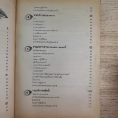 งานบำรุงรักษารถยนต์ - นริศ สุวรรณางกูร รูปที่ 11