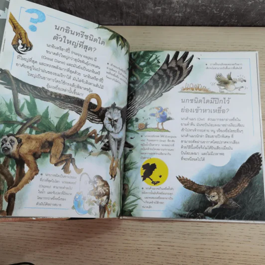 เด็กๆรู้ไหมทำไม ขายรวม 9 เล่ม รูปที่ 32