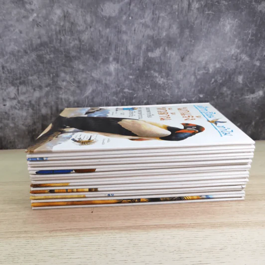 เด็กๆรู้ไหมทำไม ขายรวม 9 เล่ม รูปที่ 5