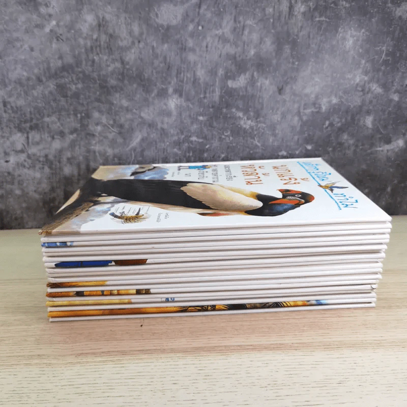 เด็กๆรู้ไหมทำไม ขายรวม 9 เล่ม รูปที่ 5