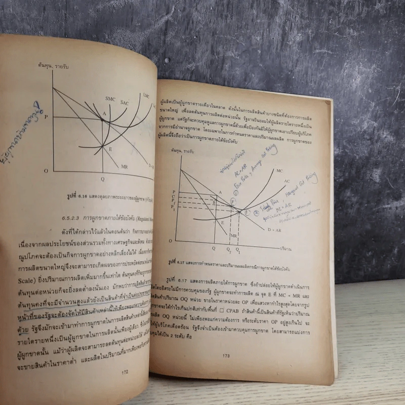 เศรษฐศาสตร์จุลภาค Microeconomics รูปที่ 14