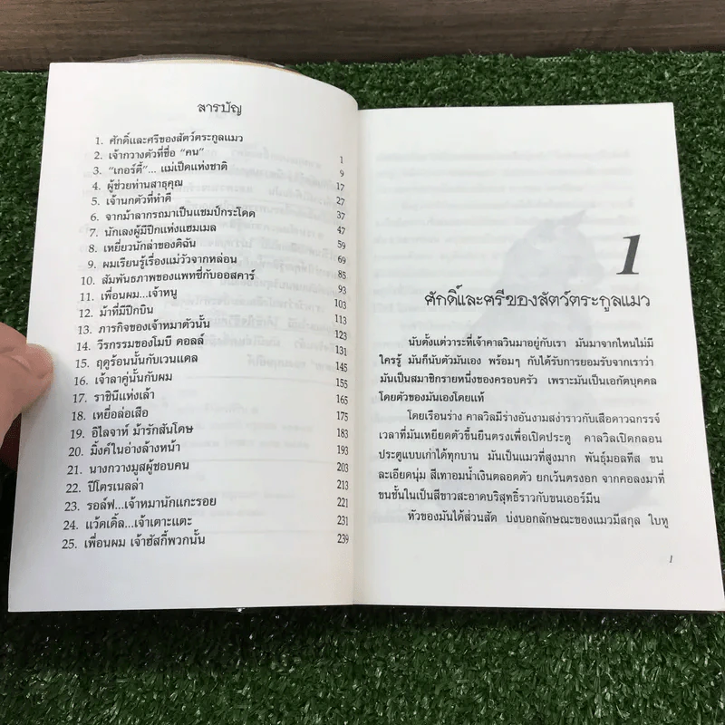 สัตว์นั้นหรือคือเพื่อนรัก - เนื่องน้อย ศรัทธา รูปที่ 8