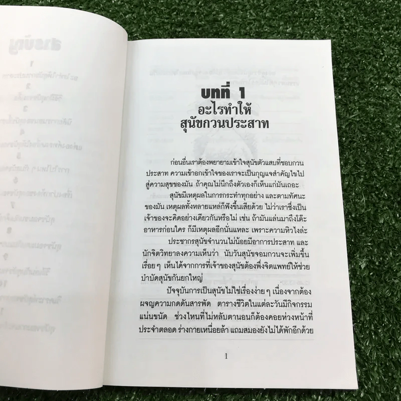 ตูบจอมเฮี้ยว - สตีเฟน เบเกอร์ รูปที่ 11