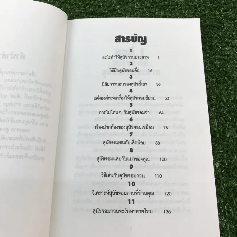 ตูบจอมเฮี้ยว - สตีเฟน เบเกอร์ รูปที่ 10