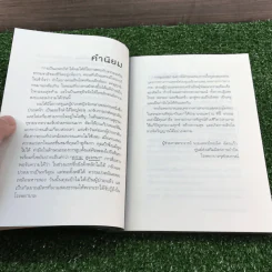 ได้เวลาชำระจิตชำรุด - ปันยา รูปที่ 15