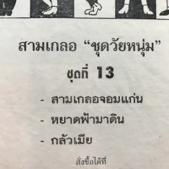รวมเรื่องชุด สามเกลอ ป.อินทรปาลิต ชุดที่ 13 สามเกลอจอมแก่น, หยาดฟ้ามาดิน, กลัวเมีย รูปที่ 13
