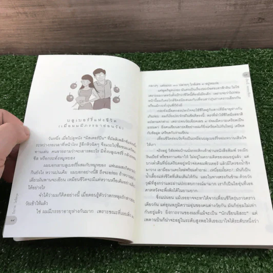 เรื่องนี้พ่อขอ (เขียน) - ธีรภาพ โลหิตกุล รูปที่ 13