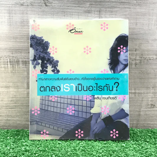 ตกลงเราเป็นอะไรกัน - ไพลิน เจนเกียรติ รูปที่ 1