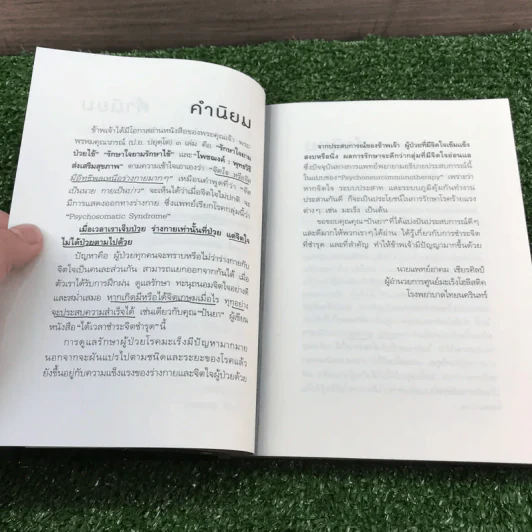 ได้เวลาชำระจิตชำรุด - ปันยา รูปที่ 14