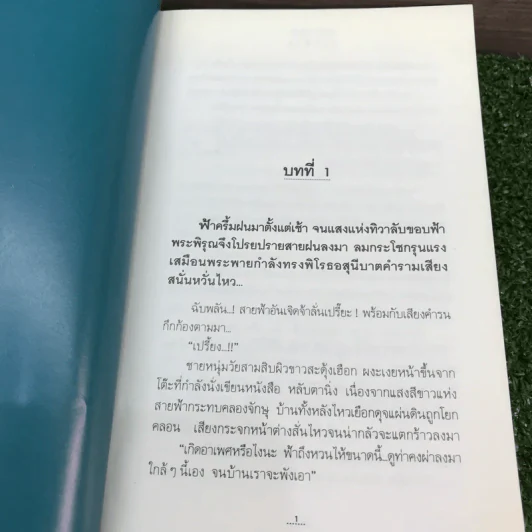 ร่าง 2 เล่มจบ - ภูเตศวร รูปที่ 11