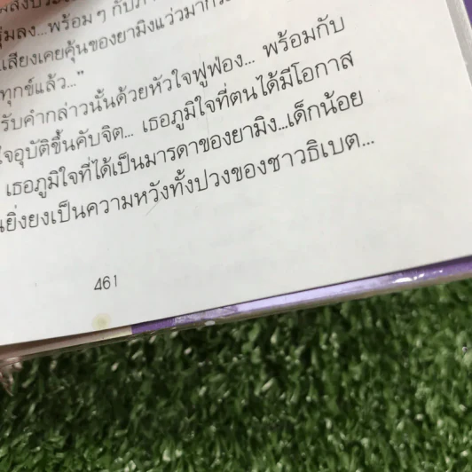 สัญญาจากลาซา 2 เล่มจบ - ภูเตศวร รูปที่ 17