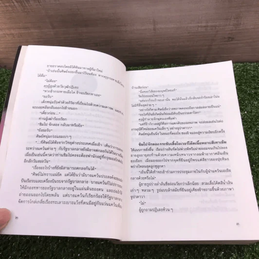 หิมาลายัน - ประภัสสร เสวิกุล รูปที่ 13