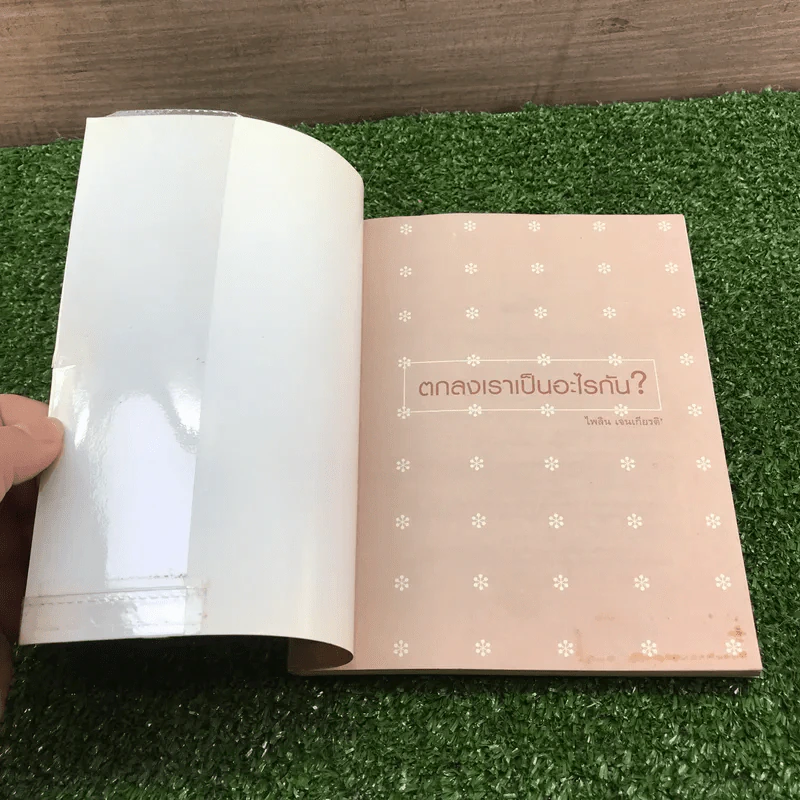 ตกลงเราเป็นอะไรกัน - ไพลิน เจนเกียรติ รูปที่ 6