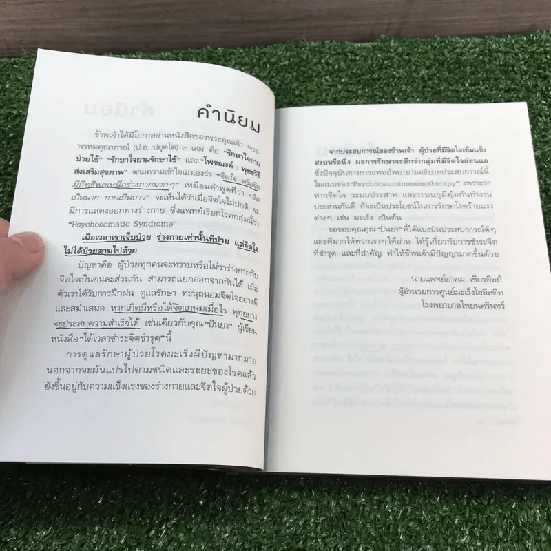 ได้เวลาชำระจิตชำรุด - ปันยา รูปที่ 14