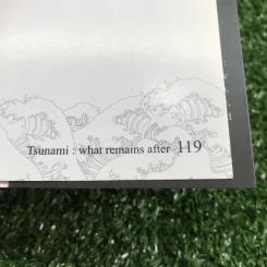Tsunami: what remains after รูปที่ 13