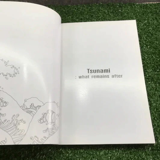 Tsunami: what remains after รูปที่ 9