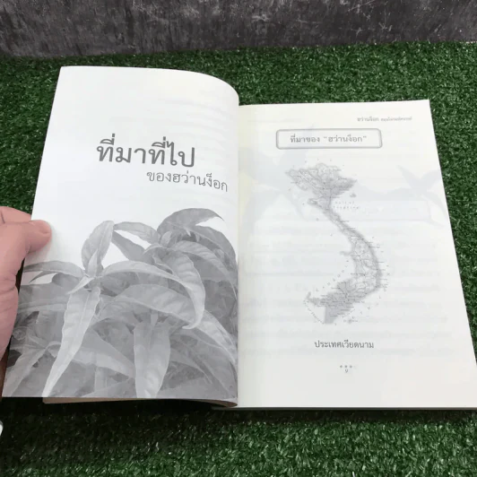 ฮว่านง็อก สมุนไพร มหัศจรรย์ - มงคล พึงพิพัฒน์ รูปที่ 10