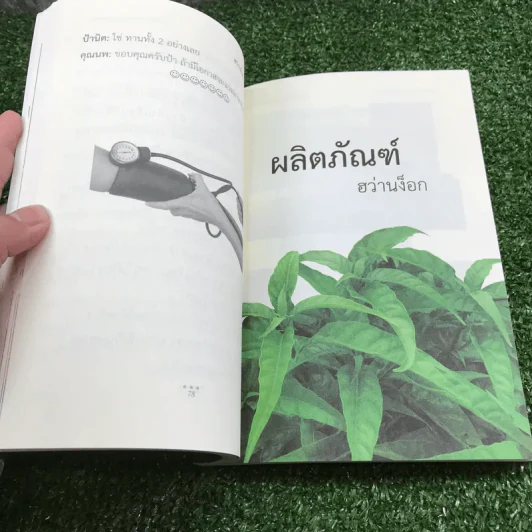 ฮว่านง็อก สมุนไพร มหัศจรรย์ - มงคล พึงพิพัฒน์ รูปที่ 13