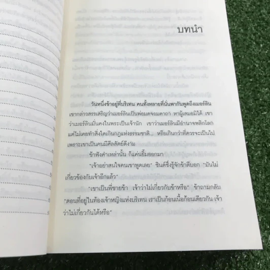 ไมรอน - พัณณิดา ภูมิวัฒน์ รูปที่ 11