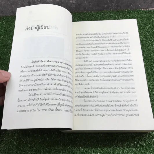ไมรอน - พัณณิดา ภูมิวัฒน์ รูปที่ 8