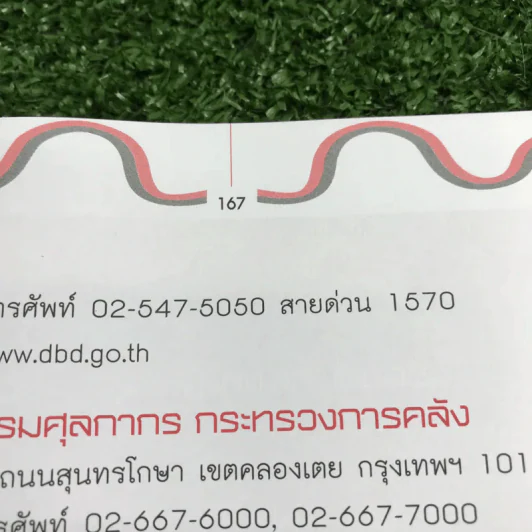 รวยรับเงินล้านด้วยอาชีพอิสระ - โรสรินทร์ พุมฤทธิ์ รูปที่ 13