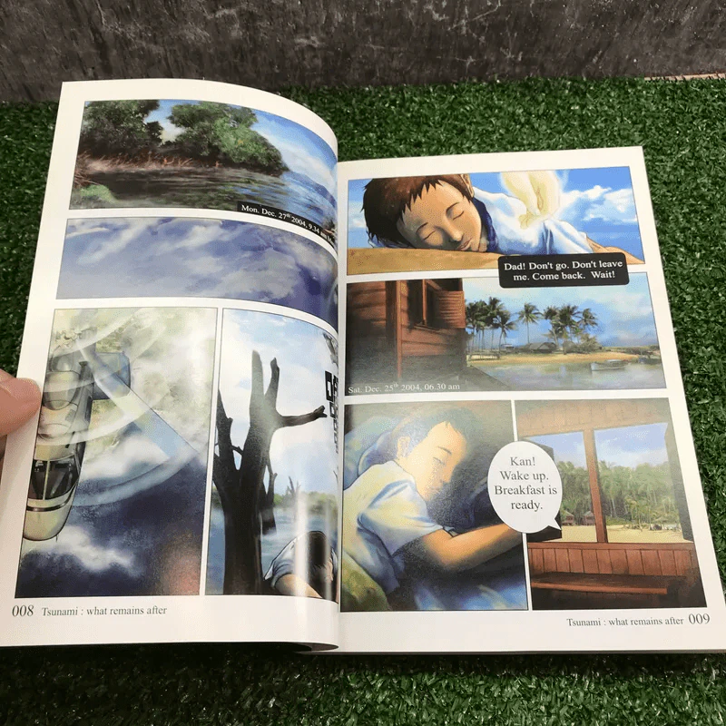 Tsunami: what remains after รูปที่ 10