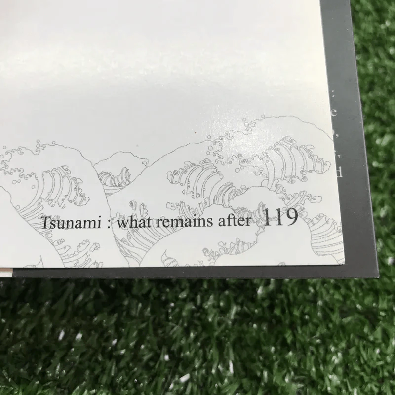 Tsunami: what remains after รูปที่ 13