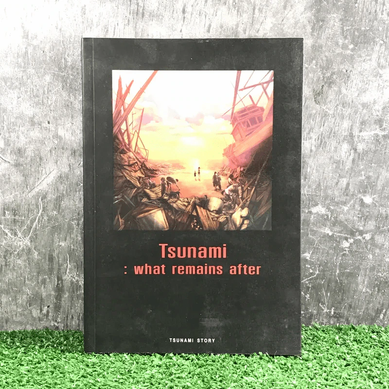 Tsunami: what remains after รูปที่ 1