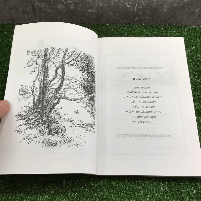 วินนี่เดอะพูห์ Winnie the Pooh - เอ.เอ.มิลน์ รูปที่ 8