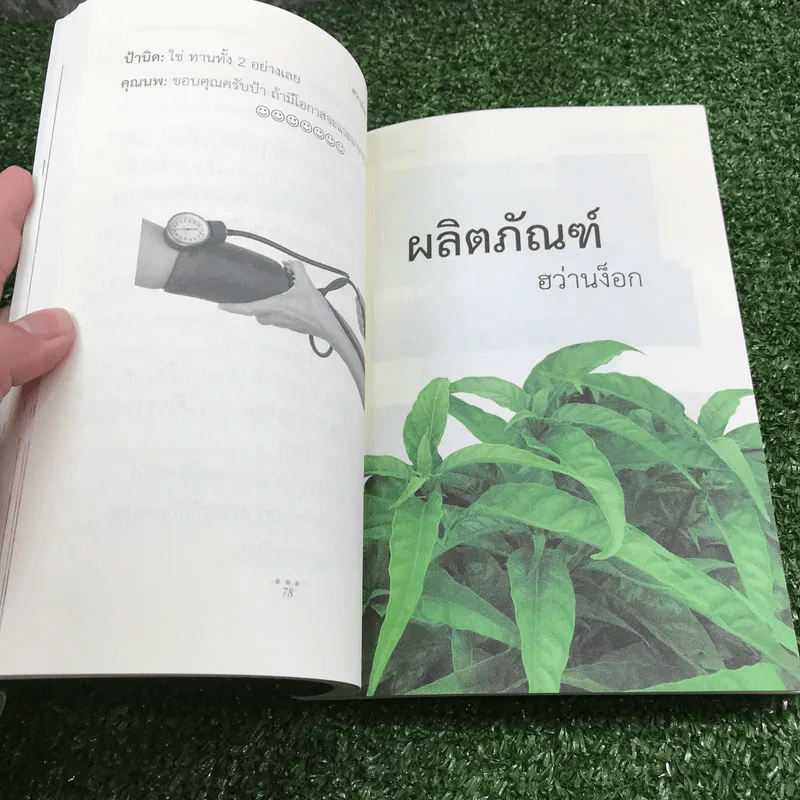 ฮว่านง็อก สมุนไพร มหัศจรรย์ - มงคล พึงพิพัฒน์ รูปที่ 13