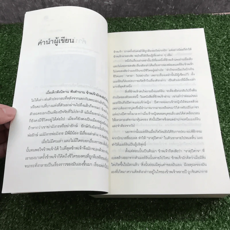 ไมรอน - พัณณิดา ภูมิวัฒน์ รูปที่ 8