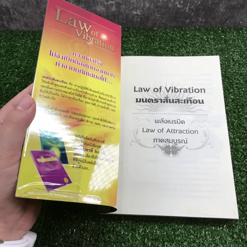 Law of Vibration มนตราสั่นสะเทือน พลังเนรมิตภาคสมบูรณ์ - วิศิษฐ์ ศรีพิบูลย์ รูปที่ 6