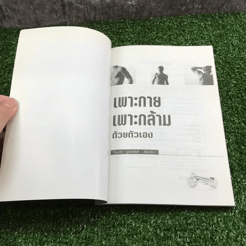 เพาะกาย เพาะกล้าม ด้วยตัวเอง - ธีรพงศ์ บูรพาพันธ์ รูปที่ 6