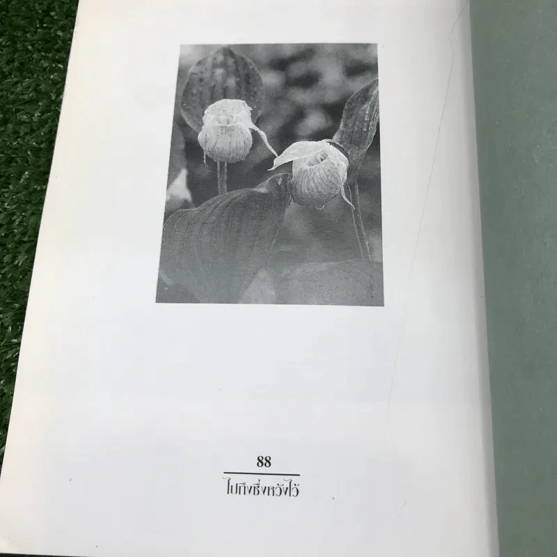 ไปถึงซึ่งหวังไว้ - เฉกชนม์ รูปที่ 12