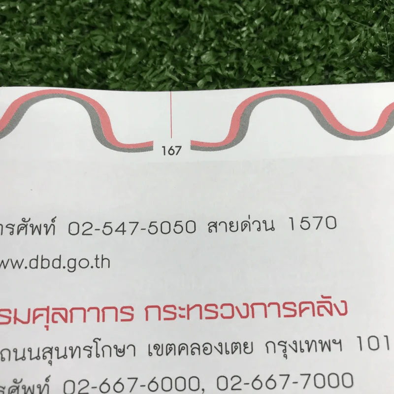 รวยรับเงินล้านด้วยอาชีพอิสระ - โรสรินทร์ พุมฤทธิ์ รูปที่ 13