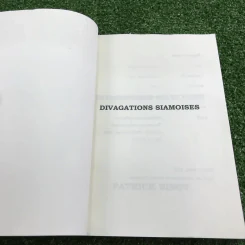 Divagations Siamoises - Patrick Binot รูปที่ 6