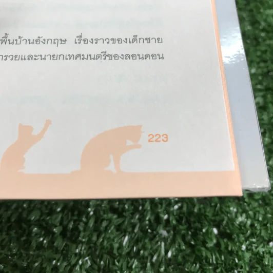 บ๊อบ แมวเตะฝันข้างถนน A Street Cat Named Bob - เจมส์ โบเวน รูปที่ 13