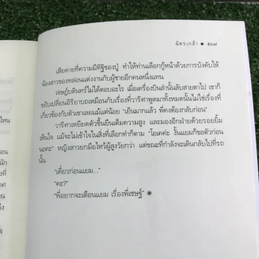 วิวาห์ในม่านรัก - ฉัตรเกล้า รูปที่ 14